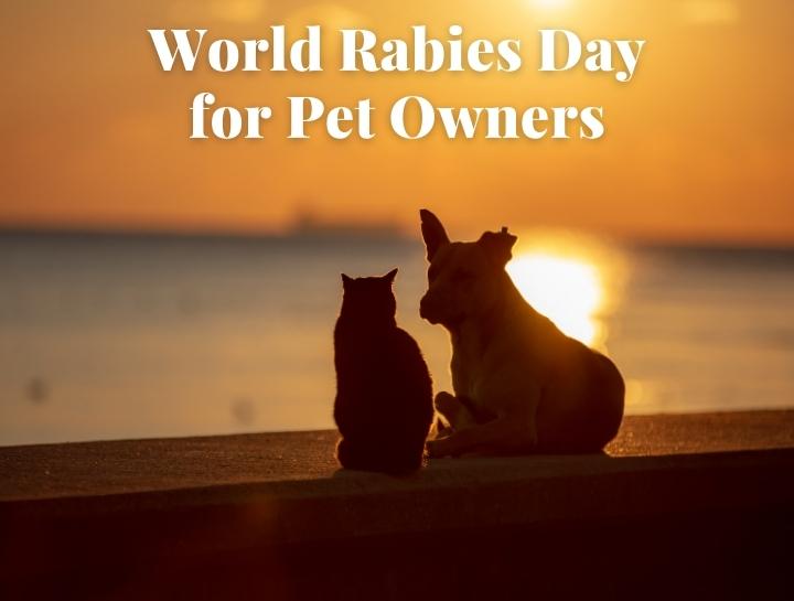World Rabies Day for Pet Owners